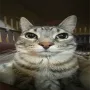 π±